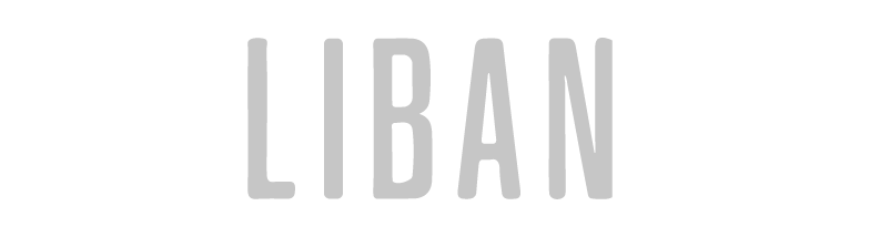 Logo 3